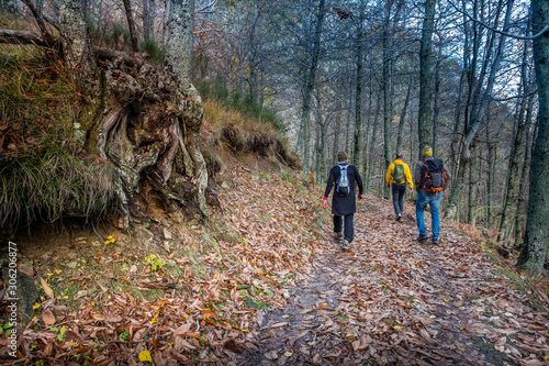 Trekking from Pontito to Penna di Lucchio, Lucca - Tuscany