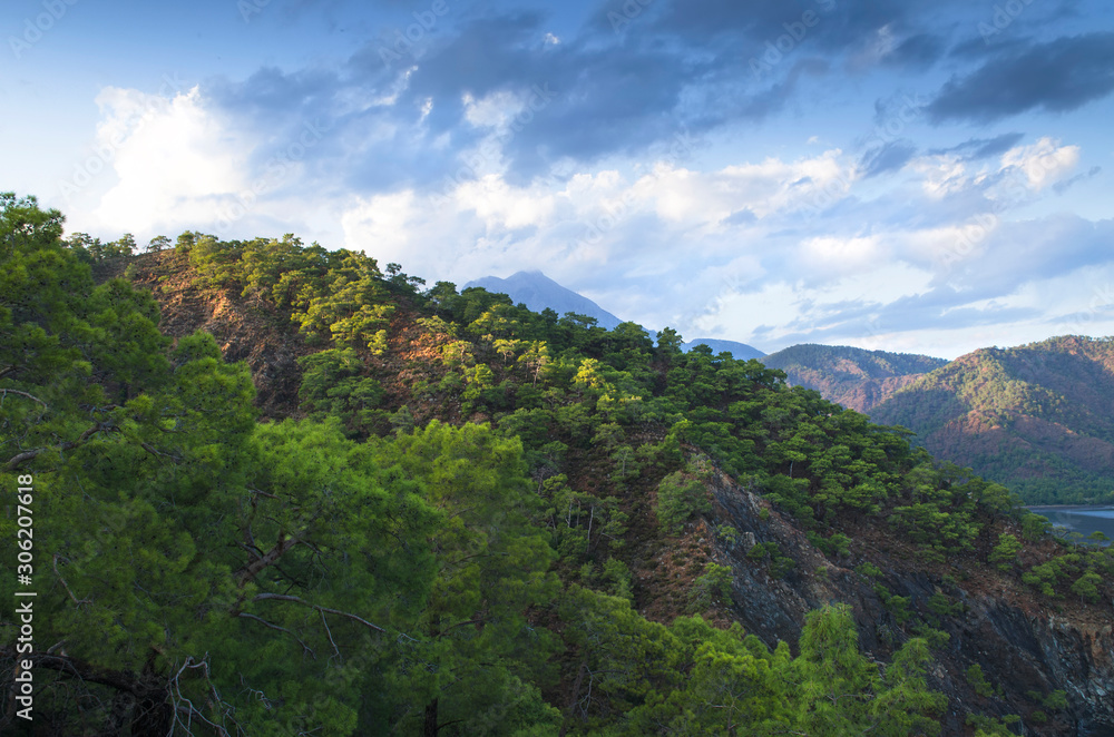Fototapeta premium Mountains overgrown with coniferous forest