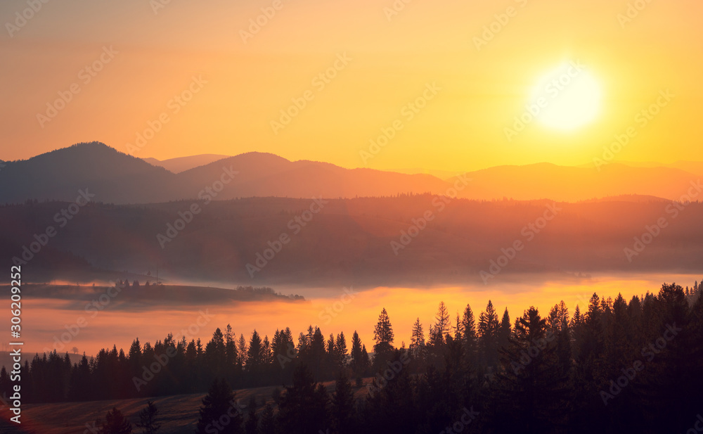 Majestic autumn scenery of foggy valley at Carpathian mountains at early morning. Beautiful tonal perspective of sunrise mountain range.