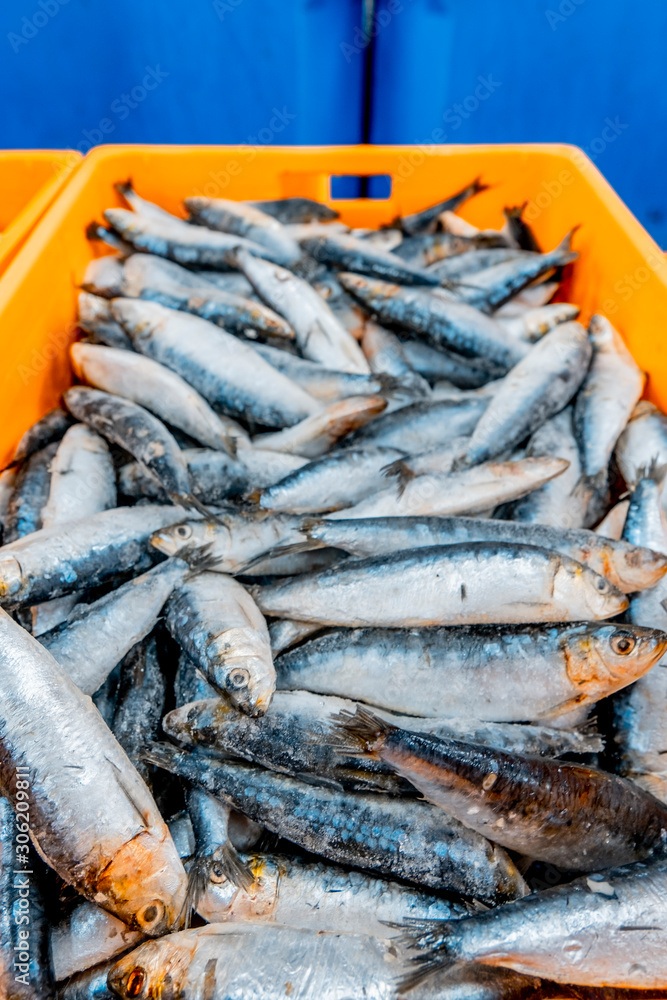 boxes of sardines in the foreground before being packaged in cans at a fish factory