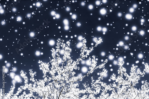 Photography Christmas, New Years black floral background, holiday card design, flower tree a