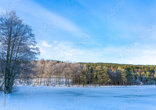 The magnificent winter scenery of Scandinavia © AntKus