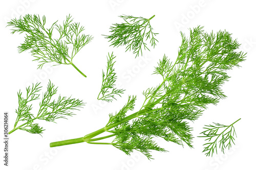 Fotografiet fresh green dill isolated on white background. top view