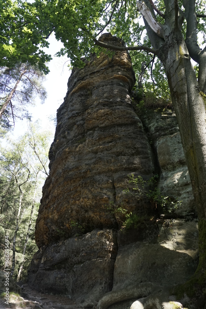 Rock formation in the sunlight spotted in Bohemian Switzerland near Hrensko Rock formation in the sunlight spotted in Bohemian Switzerland near Hrensko