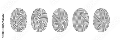 Set of fingerprint or thumbprint vector