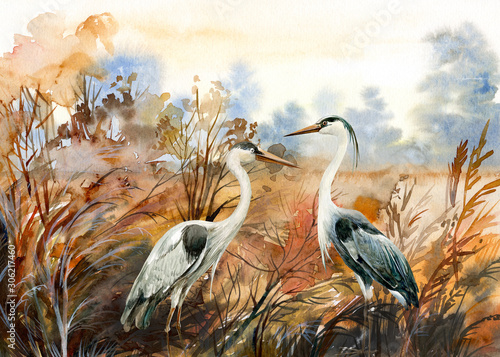 jesienny krajobraz z żurawiem ptaków, ilustracja akwarela