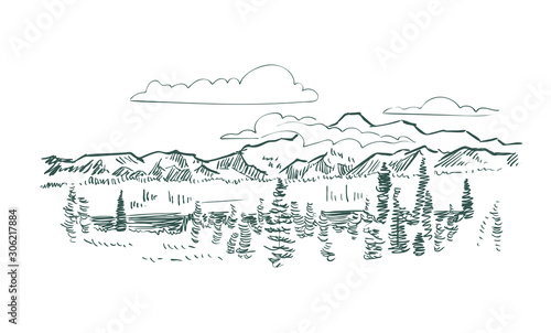Denali national park vector sketch illustration usa nature