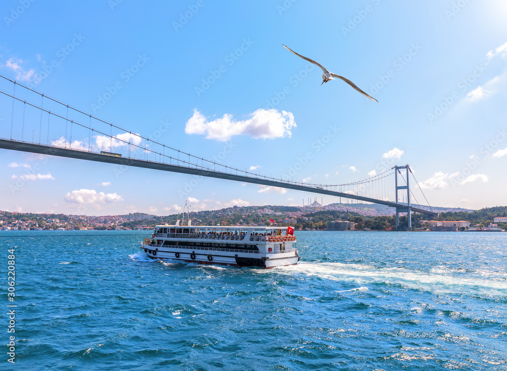 Cruise ship under the Bosphorus bridge, Istanbul, Turkey