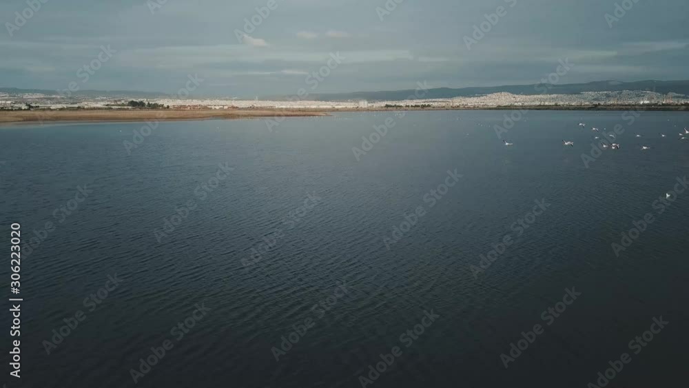 Areal shot of flying flamingos (Phoenicopterus) in Thessaloniki, Greece. Wide shot. Areal shot of flying flamingos (Phoenicopterus) in Thessaloniki, Greece. Wide shot.