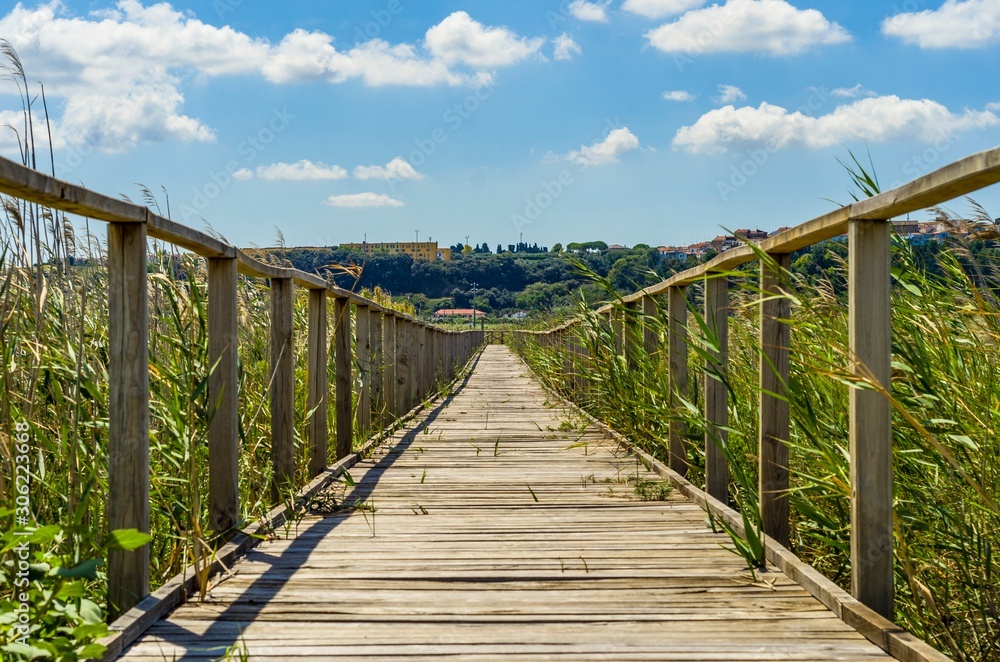 Wooden walkway immersed in the green of the countryside