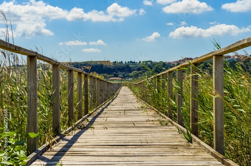 Wooden walkway immersed in the green of the countryside © giadophoto