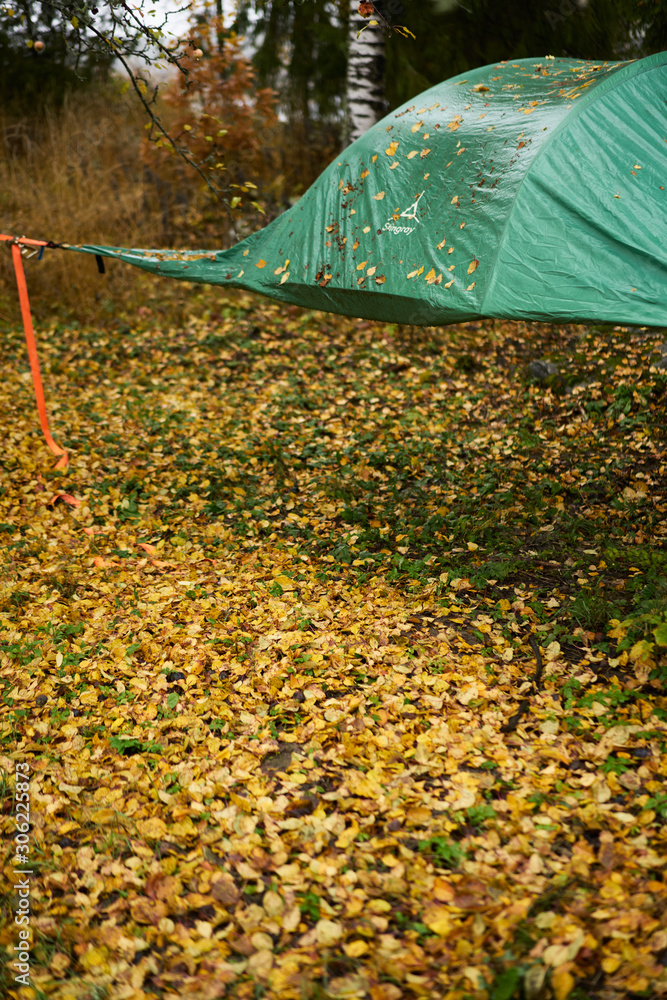 Green camping tent in nature.