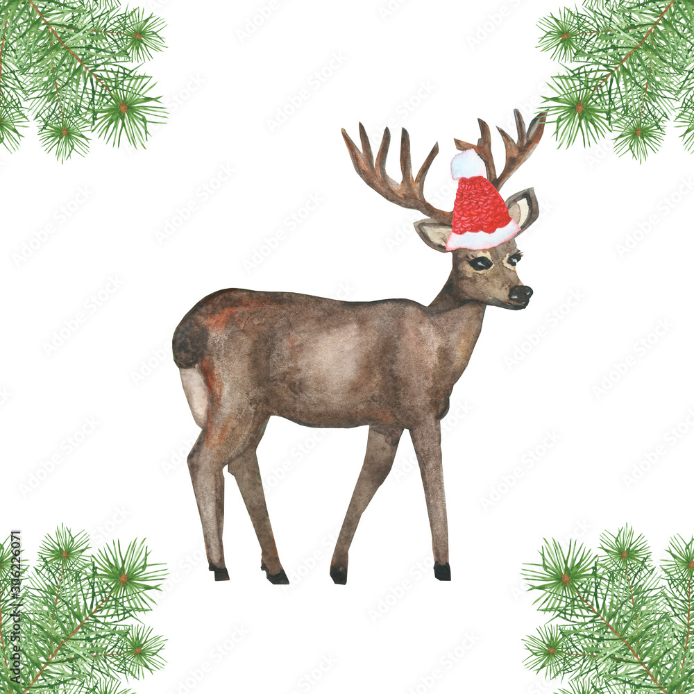 Obraz Akwarela ręcznie malowana natura obchody ferii zimowych kompozycja dzikich zwierząt z brązowym jeleniem z rogami z czerwonym świątecznym kapeluszem i zielonymi gałęziami jodły na białym tle