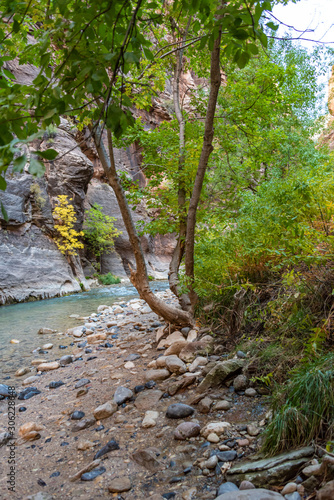 zion narrows