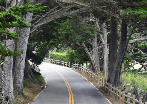 Carmel by the sea; USA - july 14 2016 : the 17 mile drive photo