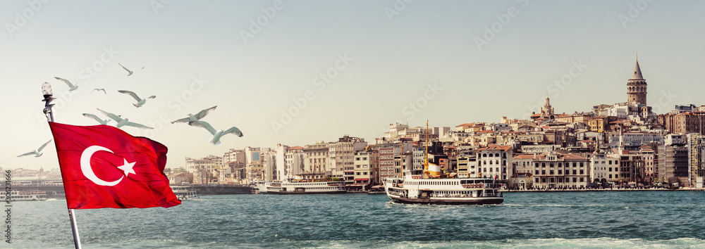 Istanbul panorama with a turkish flag and seagulls over the Golden Horn. - obrazy, fototapety, plakaty 
