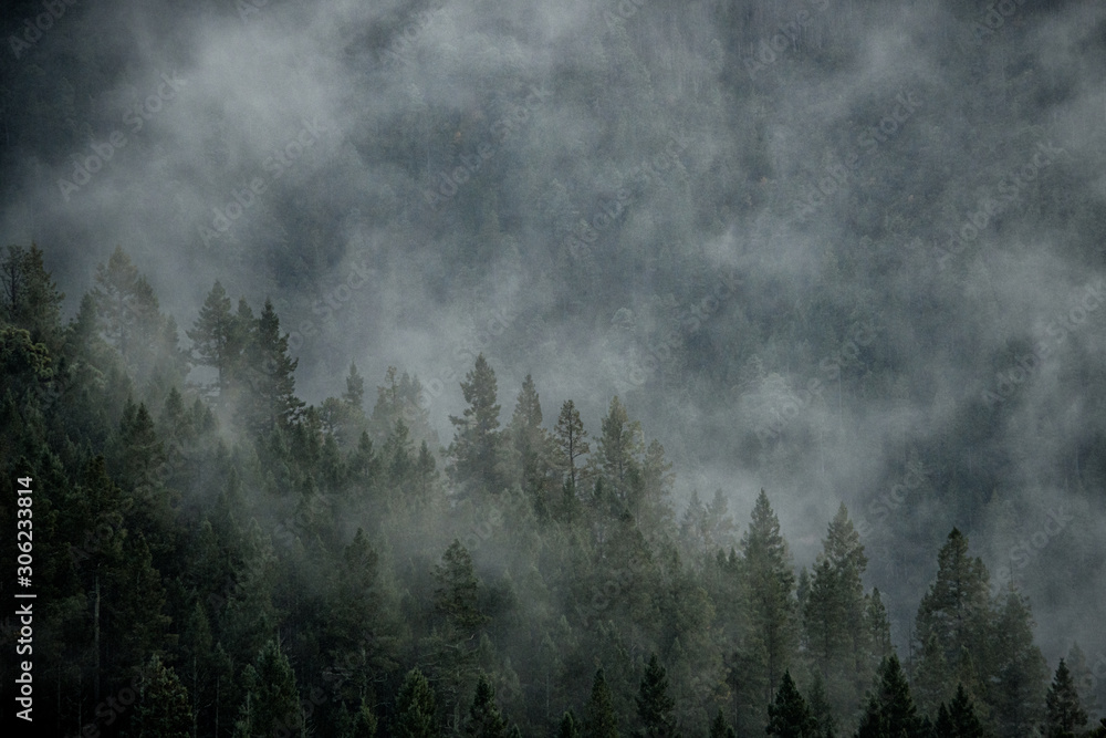 Mist in the Mountain Mist in the Mountain