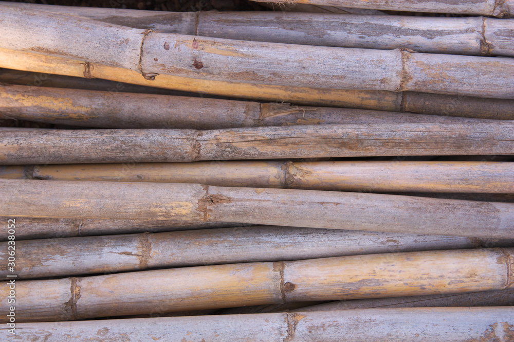 Image of a lot of reeds located horizontally Image of a lot of reeds located horizontally