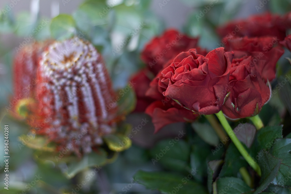 Close-up flower shop window with exotic flowers, selective focus