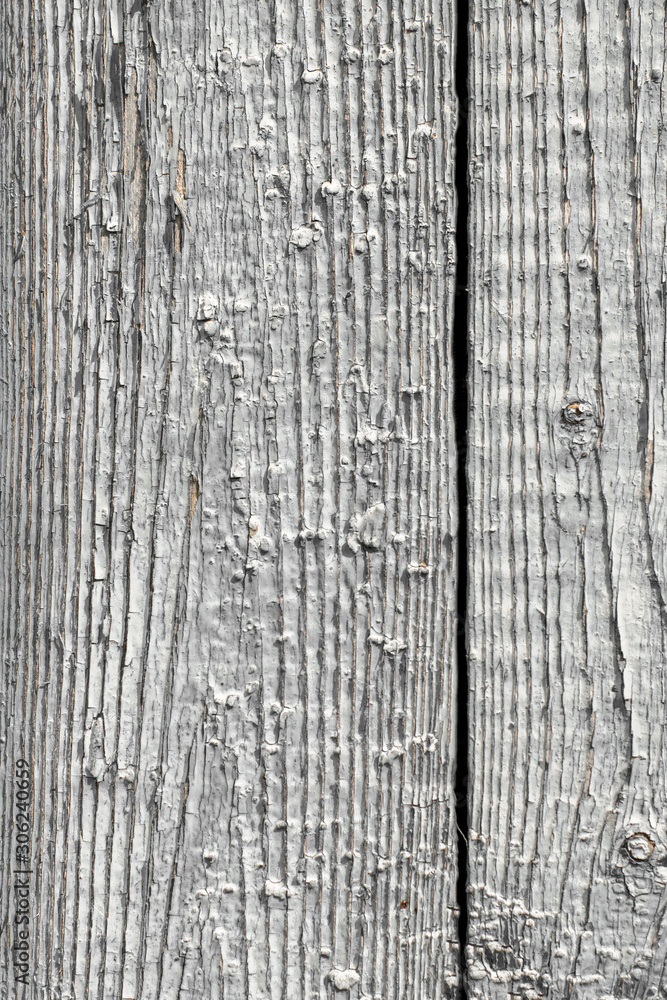 Fototapeta premium rustic wooden shabby grey panel without paint