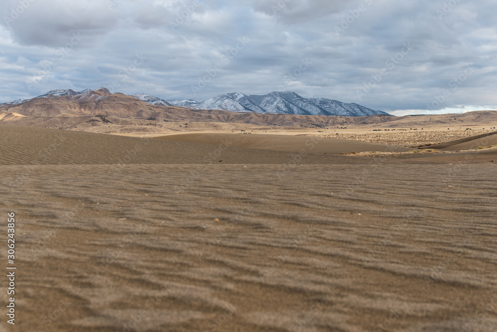 Fototapeta premium sand dunes in the desert