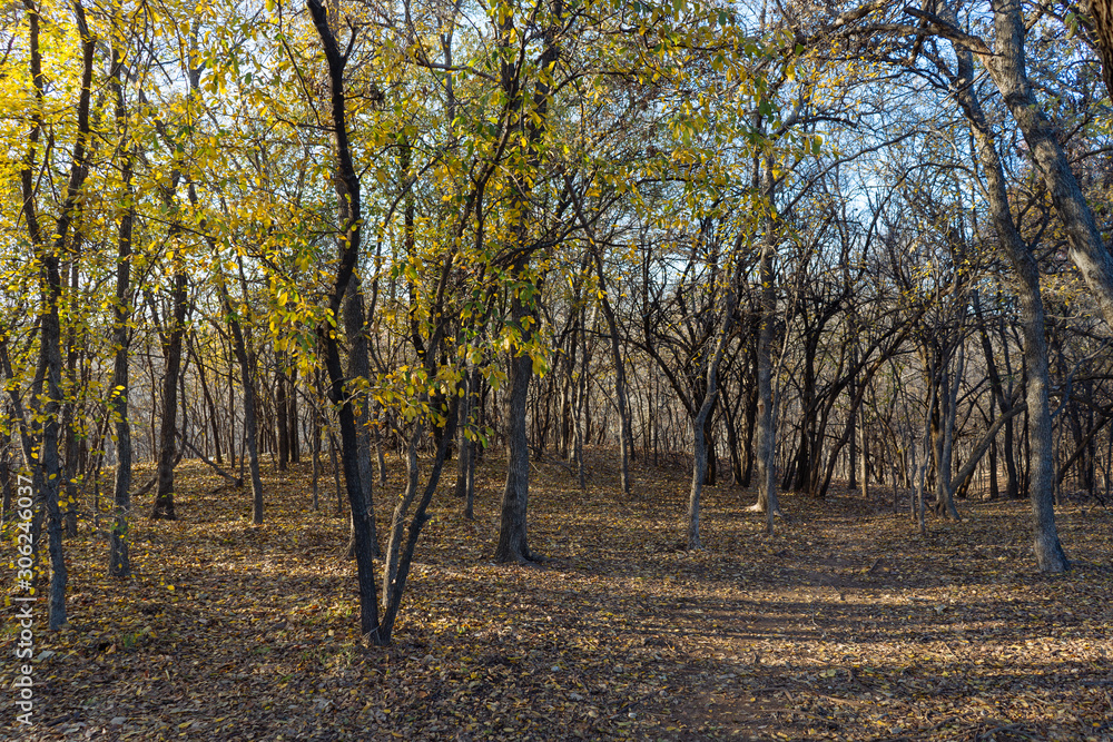 Texas City Park on a sunny November day.