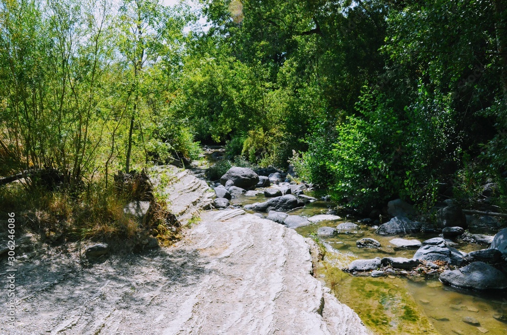 Obraz premium paysage