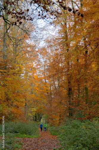 Spaziergänger im Wald