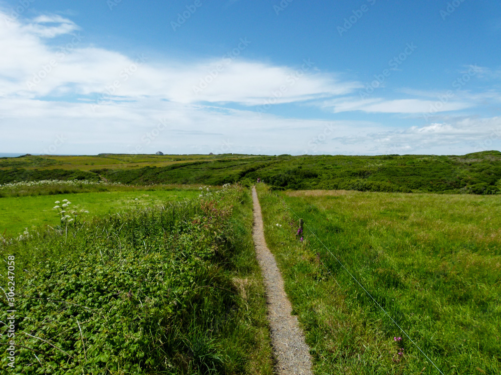 footpath in the field in cornwall near lizard footpath in the field in cornwall near lizard