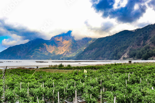 A beautiful view of Kintamani mountain in Bali, Indonesia.