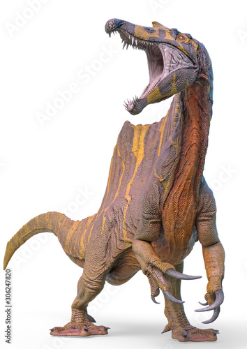 spinosaurus is calling in white background