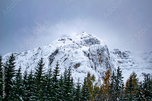 winter mountain landscape with trees and blue sky