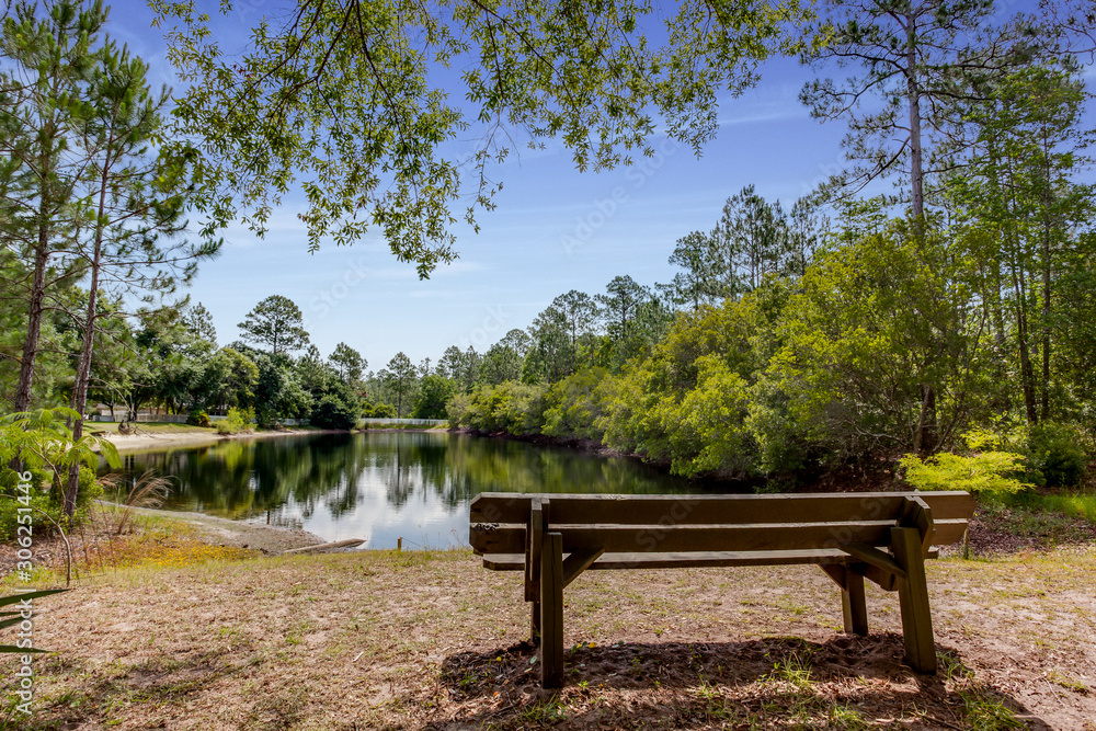 Bench overlooking a peaceful lake Bench overlooking a peaceful lake