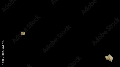 Popping Popcorn Bounce on Transparent Background