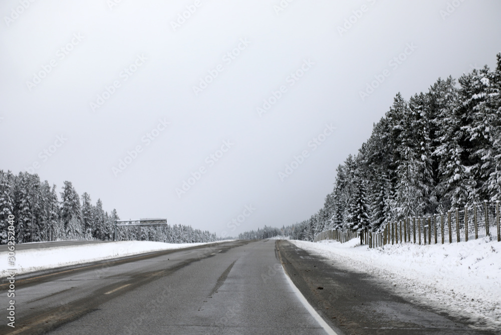 Fototapeta premium Beautiful landscape of Canadian countryside during snow storm