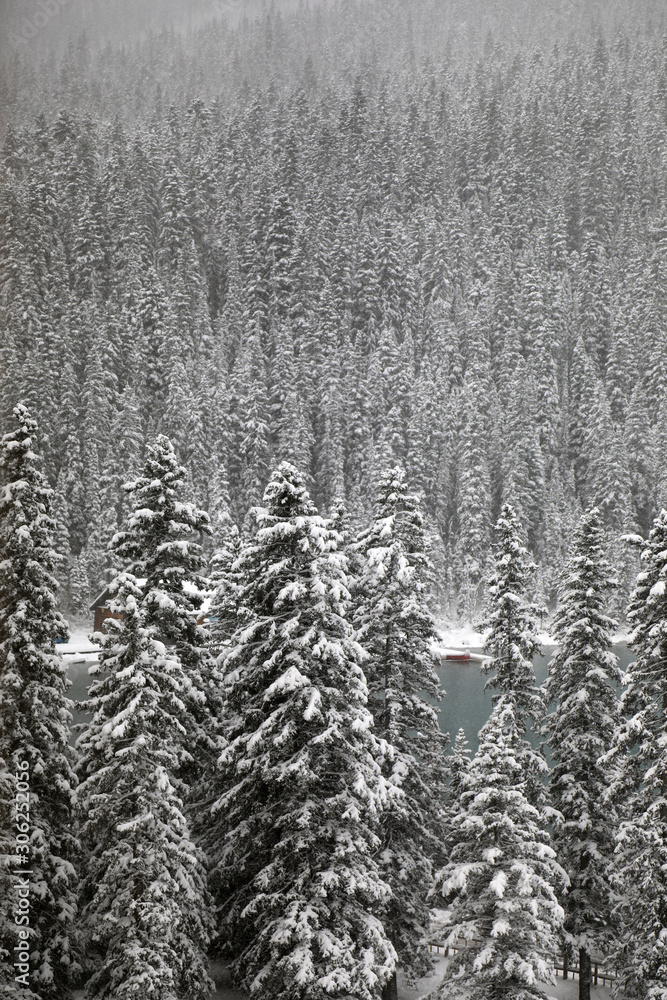Beautiful landscape of Canadian countryside during snow storm Beautiful landscape of Canadian countryside during snow storm