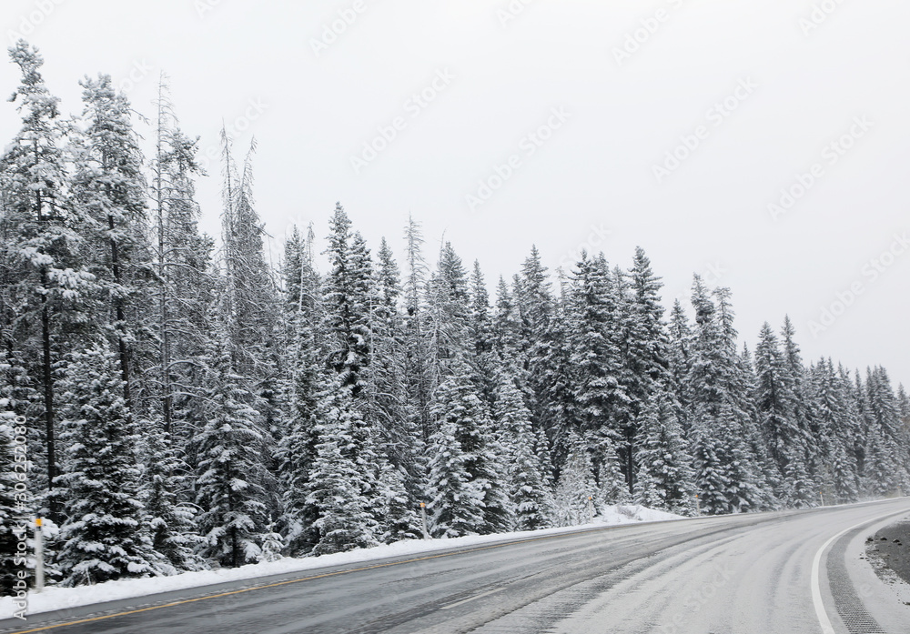 Obraz premium Beautiful landscape of Canadian countryside during snow storm