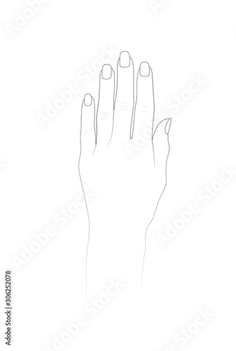 Hand template for henna design and nail art practice. Vector illustration