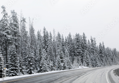 Beautiful landscape of Canadian countryside during snow storm