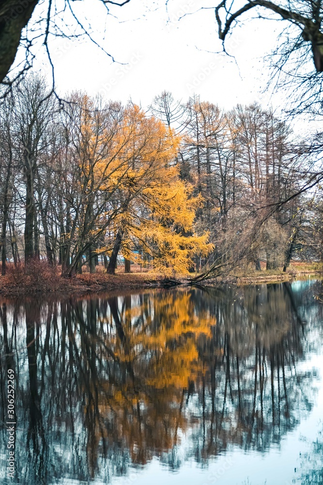 Fototapeta premium Lake in winter forest with the reflection of trees.