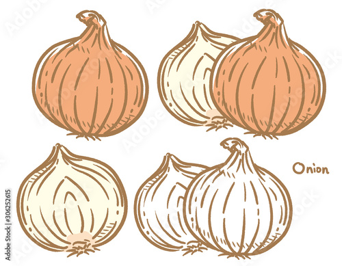 Onion isolated on white.