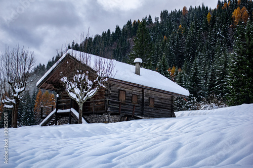 Wallpaper Mural house in the snow Torontodigital.ca