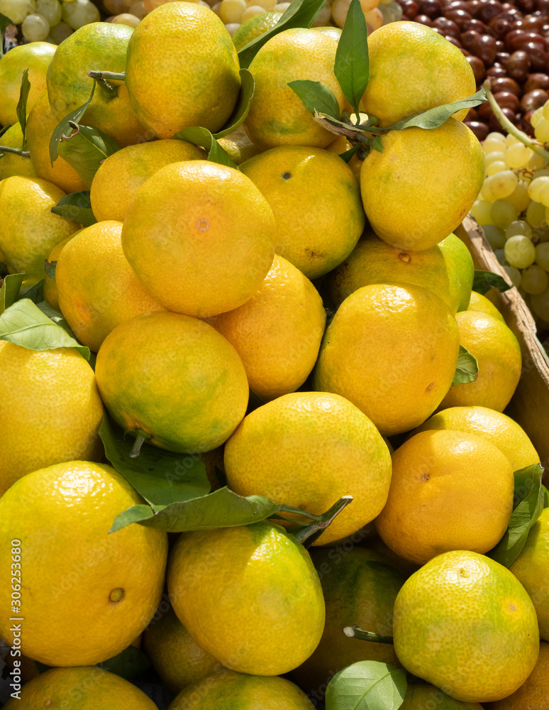 Freshly Picked Lemons for Sale at Albanian Farmer's Market