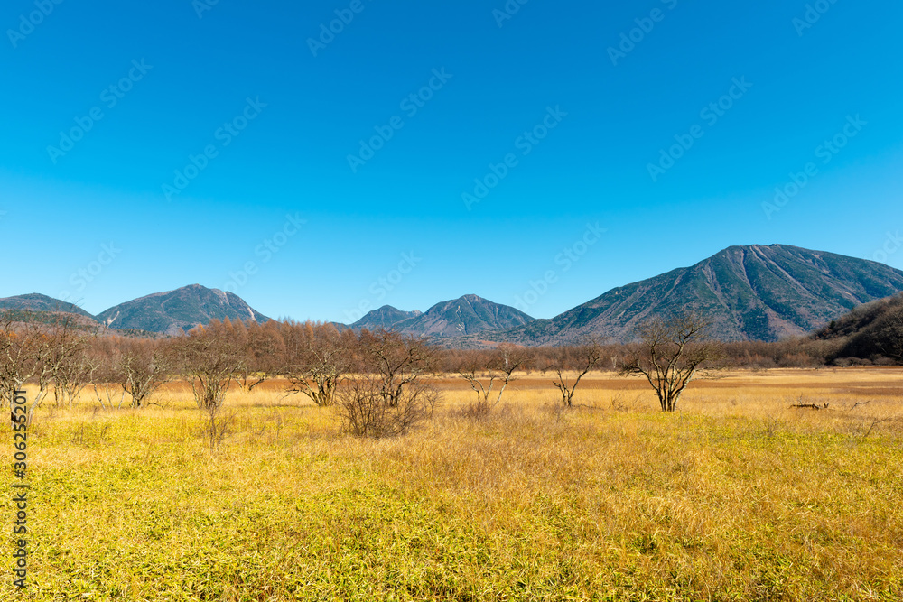 Odashirogahara marshland