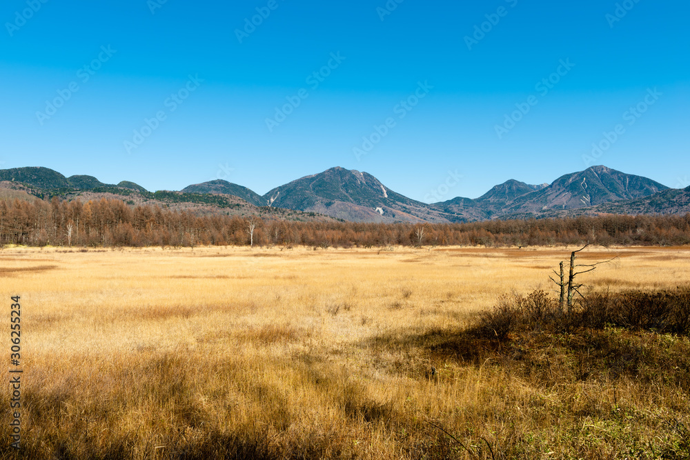 Obraz premium Odashirogahara marshland