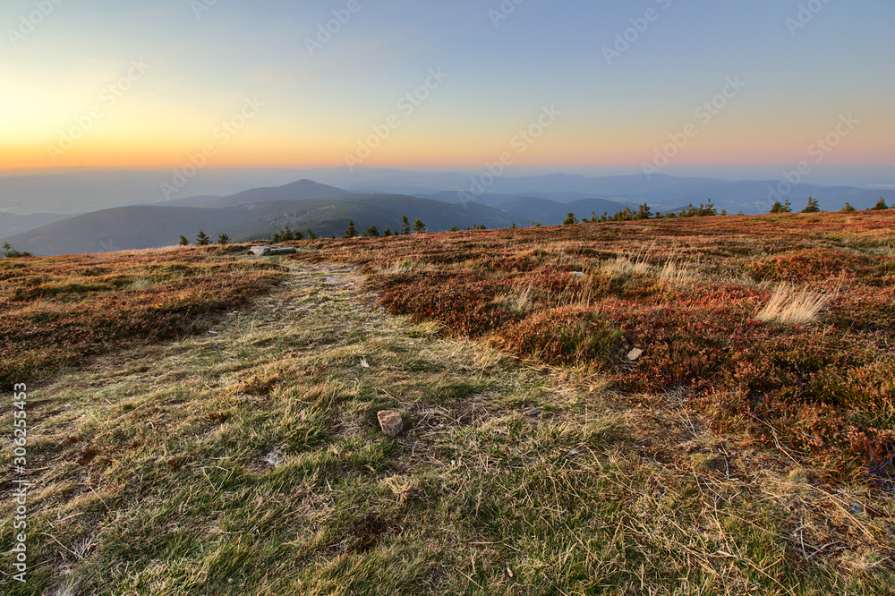 Obraz premium Jesień na Górze Śnieżnik - Karpaty - Polska