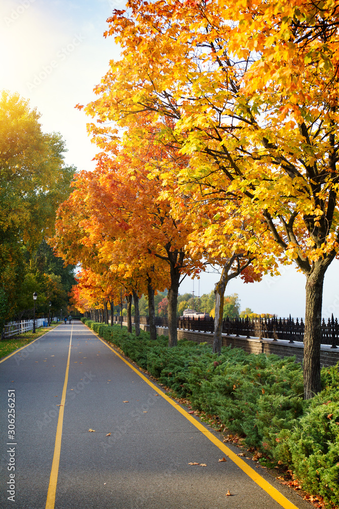 Walkway beside river. Sunny day at autumn park with colorful trees. Autumn in park, landscape