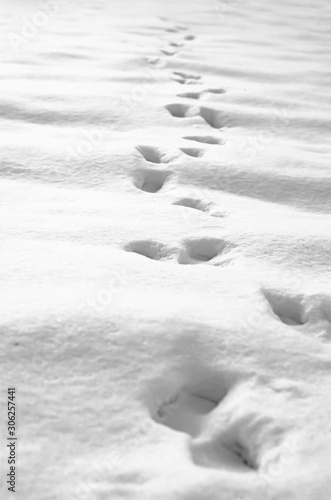 Close-up traces of foot steps in the fresh snow during winter season .