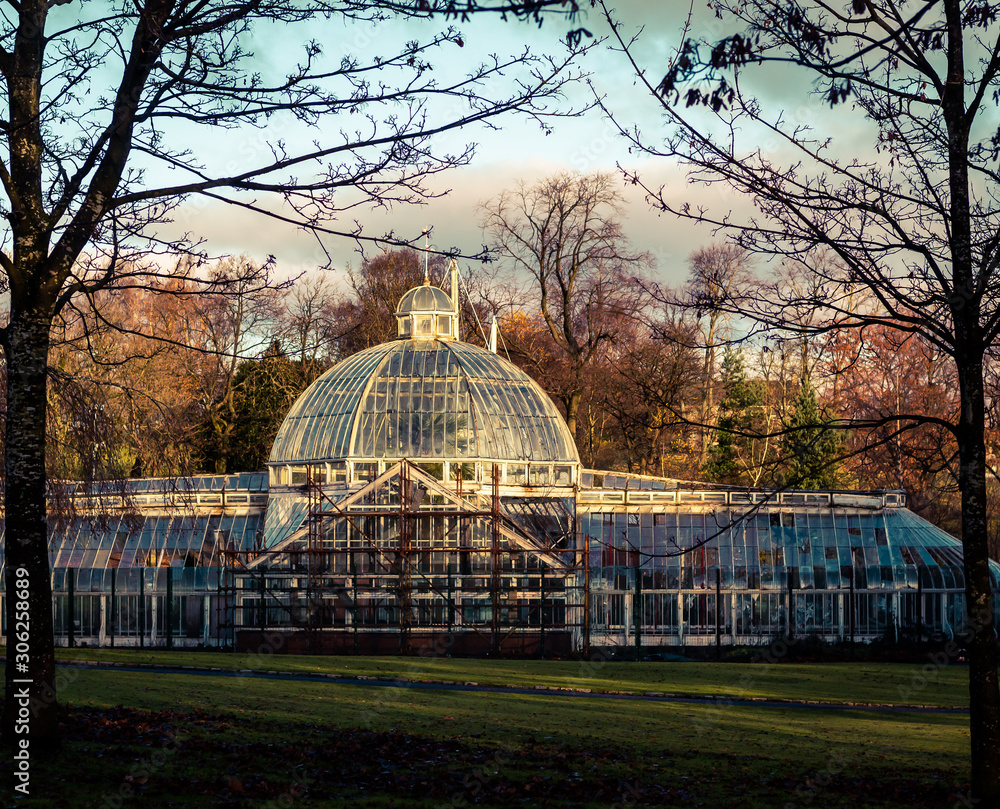 Fototapeta premium abandoned glass house framed by two trees