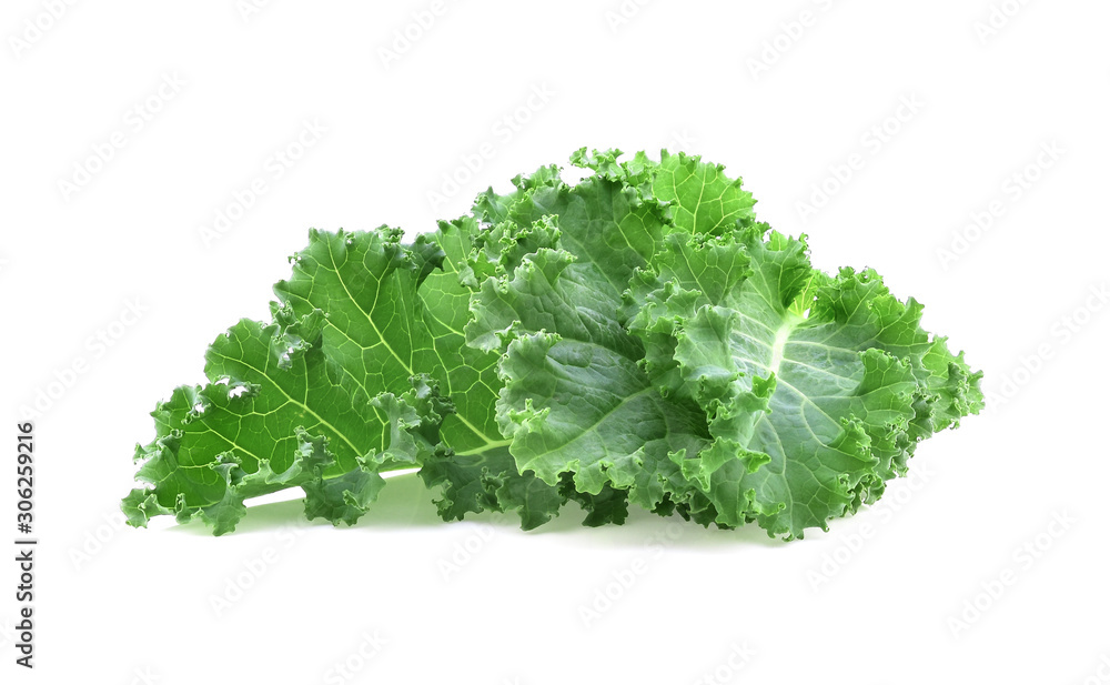 Organic green kale leaf isolated on white background Organic green kale leaf isolated on white background